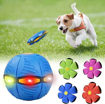 Wagified™ Dog Frisbee